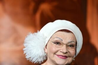 степаненко