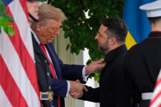 трамп и зеленский